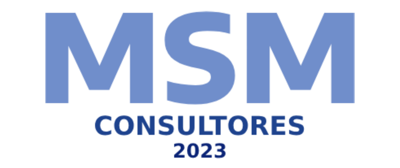 MSM Consultores 2023